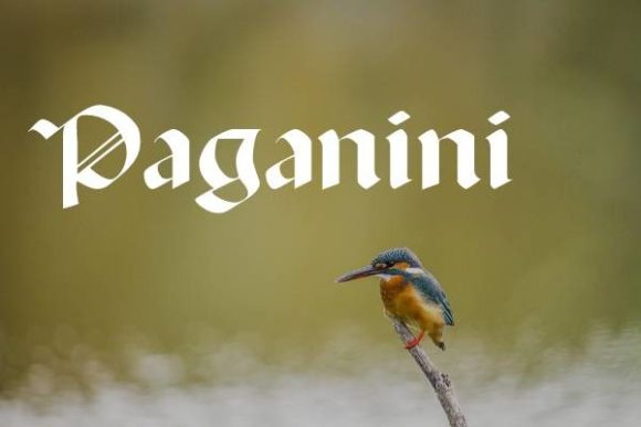 Paganini: The Gothic Display Font with a Bold Personality