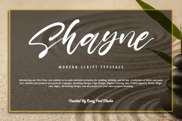Shayne: A Modern Handwritten Script Font for Creative Projects